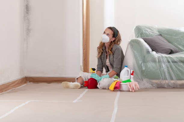 Reliable Basement Mold Removal contractor in Manchester, MI by WQB Mold Removal